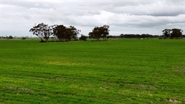 Farm sale near Melton offers AI data centre appeal to buyers