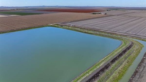 Outstanding aggregation with irrigation, dryland farming sold | Video