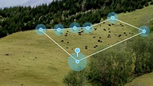 Who's behind the ag technology breakthroughs powering fenceless grazing