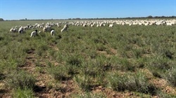 Grimwade & Gordon's impressive south west 'salad bowl' country sold